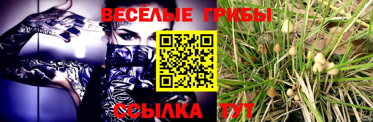 Псилоцибиновые грибы GOLDEN TEACHER  Вход с VPN  как найти наркотики  Новочебоксарск 
